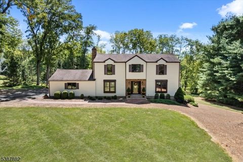 33 John Dr Clinton Twp. NJ 08801