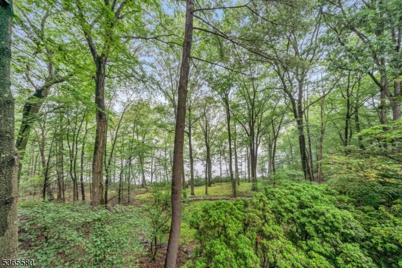 37 Lenape Dr
