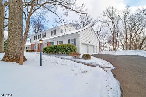 81 Huron Dr Chatham Twp. NJ 07928