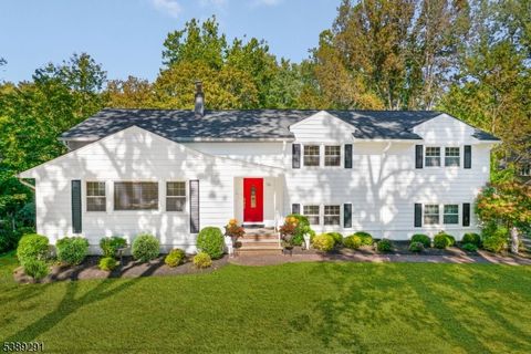56 Valley Rd Berkeley Heights Twp. NJ 07922