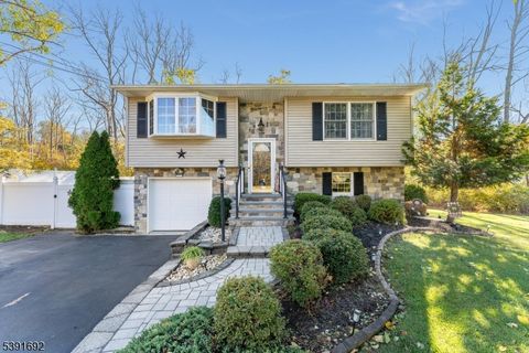 Photo of 36 Mackenzie Rd, Hampton, NJ 08827 (MLS # 3994318)