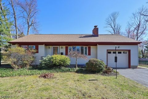 130 Warrenville Rd Green Brook Twp. NJ 08812