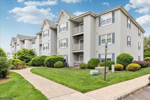 210 Stratford Pl Bridgewater Twp. NJ 08805