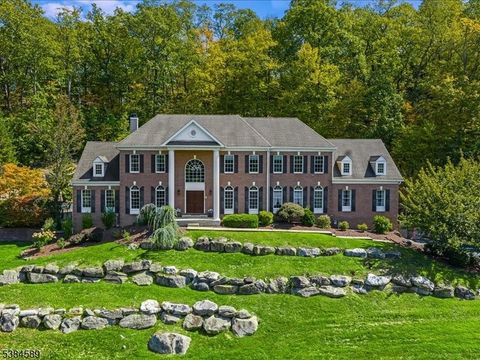 38 Morgan Dr Sparta Twp. NJ 07871