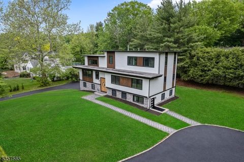 148 Great Hills Rd Millburn Twp. NJ 07078