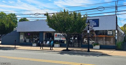 236 Main St Hackettstown Town NJ 07840