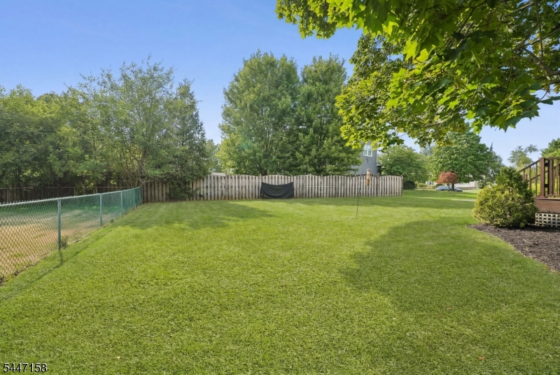 1 Witzling Ct