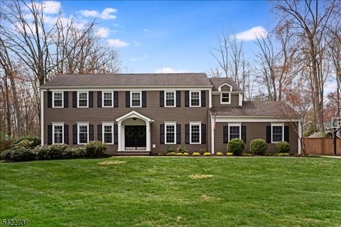 42 Dean Rd Mendham Boro NJ 07945