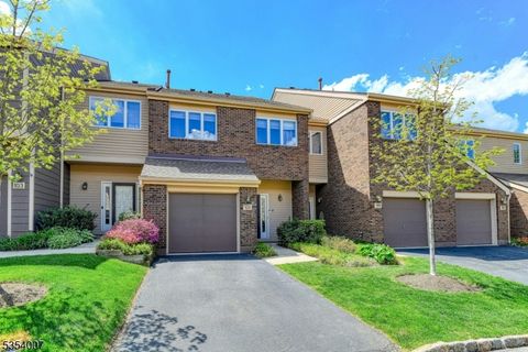 101 Greenwich Ct Madison Boro NJ 07940