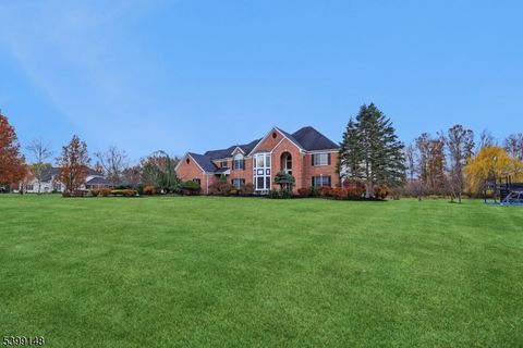 10 Jacobus Ln Readington Twp. NJ 08822