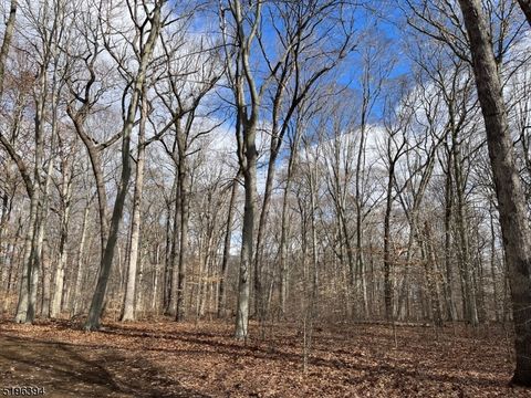 31 Sand Spring Ln Harding Twp. NJ 07976