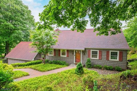135 Alpine Trl Sparta Twp. NJ 07871