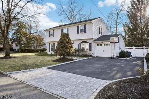 4 Delbarton Dr Madison Boro NJ 07940