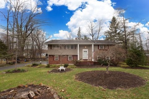 45 Blue Ridge Ave Green Brook Twp. NJ 08812