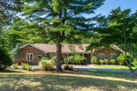 29 Piersons Hill Rd Randolph Twp. NJ 07869