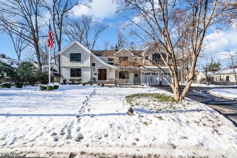 28 Falmouth Rd Chatham Twp. NJ 07928