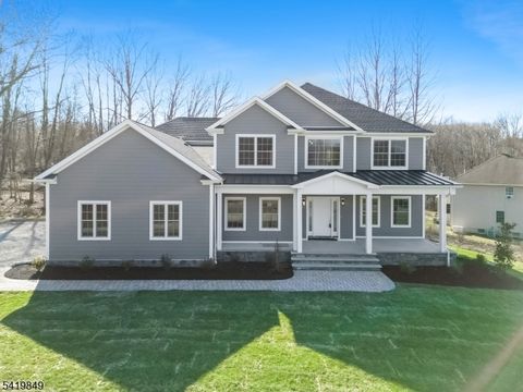1 Lourdes Ct Andover Twp. NJ 07860