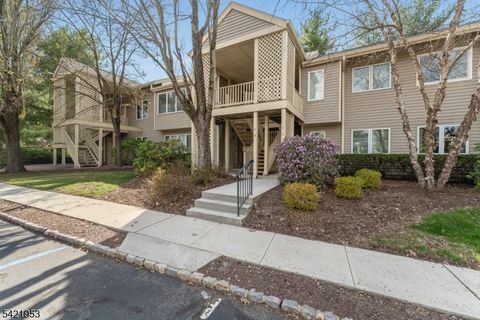 4 Troon Ter Clinton Twp. NJ 08801