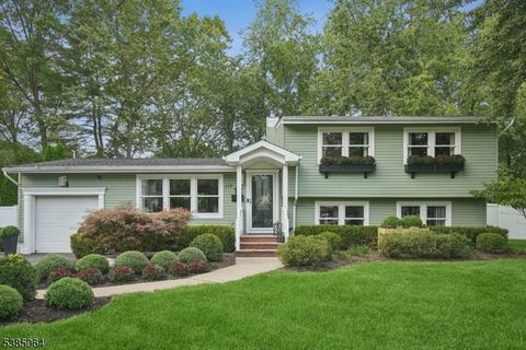 110 Edgewood Dr Florham Park Boro NJ 07932