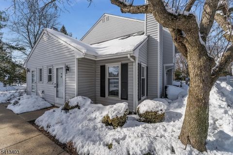 95 Huckleberry Ct Readington Twp. NJ 08887