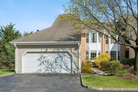 163 Dezenzo Ln West Orange Twp. NJ 07052