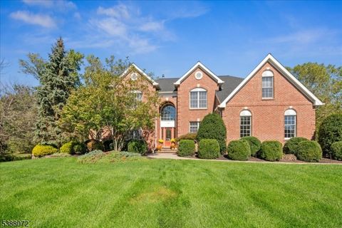 161 Grayson Dr Montgomery Twp. NJ 08502