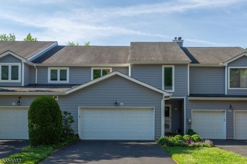 46 Raven Dr 46 Morris Twp. NJ 07960