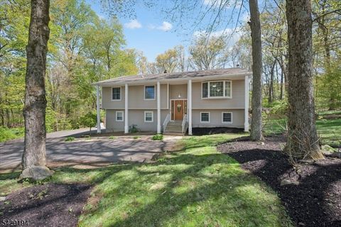 11 Knoll Dr Denville Twp. NJ 07866