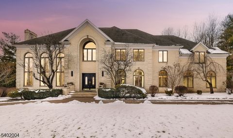 15 Quail Run Warren Twp. NJ 07059