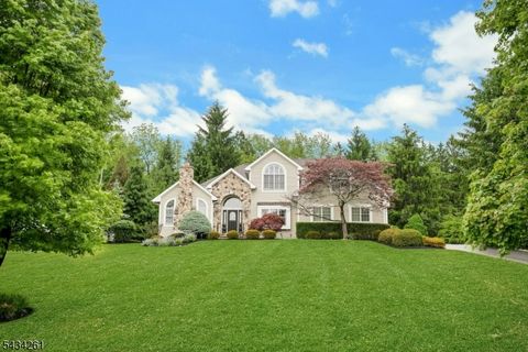 5 Coe Farm Rd Mendham Twp. NJ 07945