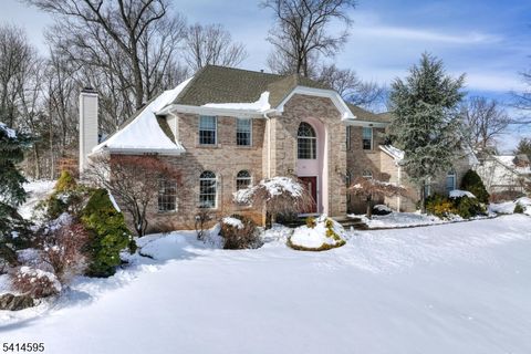 19 Woodshire Ter Montville Twp. NJ 07082