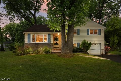 14 Chester Lang Place Cranford Twp. NJ 07016