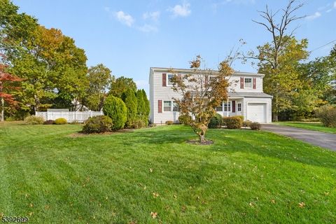 262 Graybar Dr Bridgewater Twp. NJ 08807