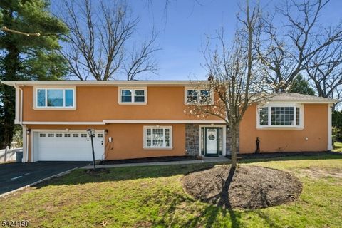 115 Birchwood Ter Wayne Twp. NJ 07470