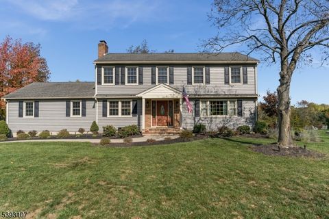 126 Carriage Hill Way Branchburg Twp. NJ 08853