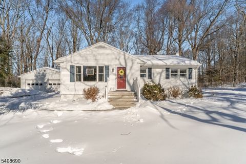 469 W Hill Rd Lebanon Twp. NJ 08826