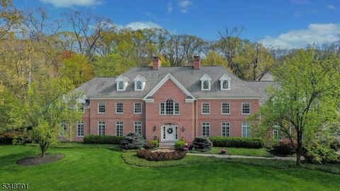 552 Stangle Rd Bridgewater Twp. NJ 08836