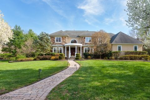 33 Saddlewood Ct Montgomery Twp. NJ 08502