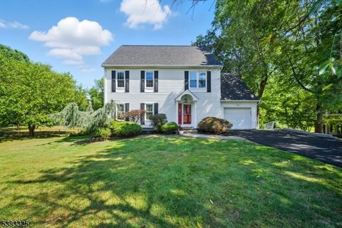 232 RIVERSIDE DRIVE WEST Denville Twp. NJ 07834