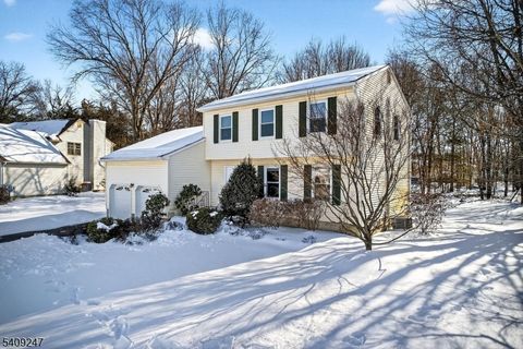 141 Terhune Ln Hillsborough Twp. NJ 08844