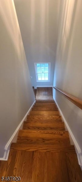 95 Springfield Ave
