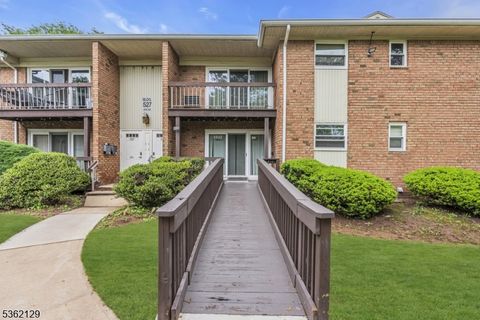 527 Andria Ave 223 Hillsborough Twp. NJ 08844