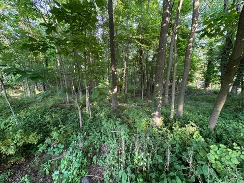Featured picture for the property 3909449