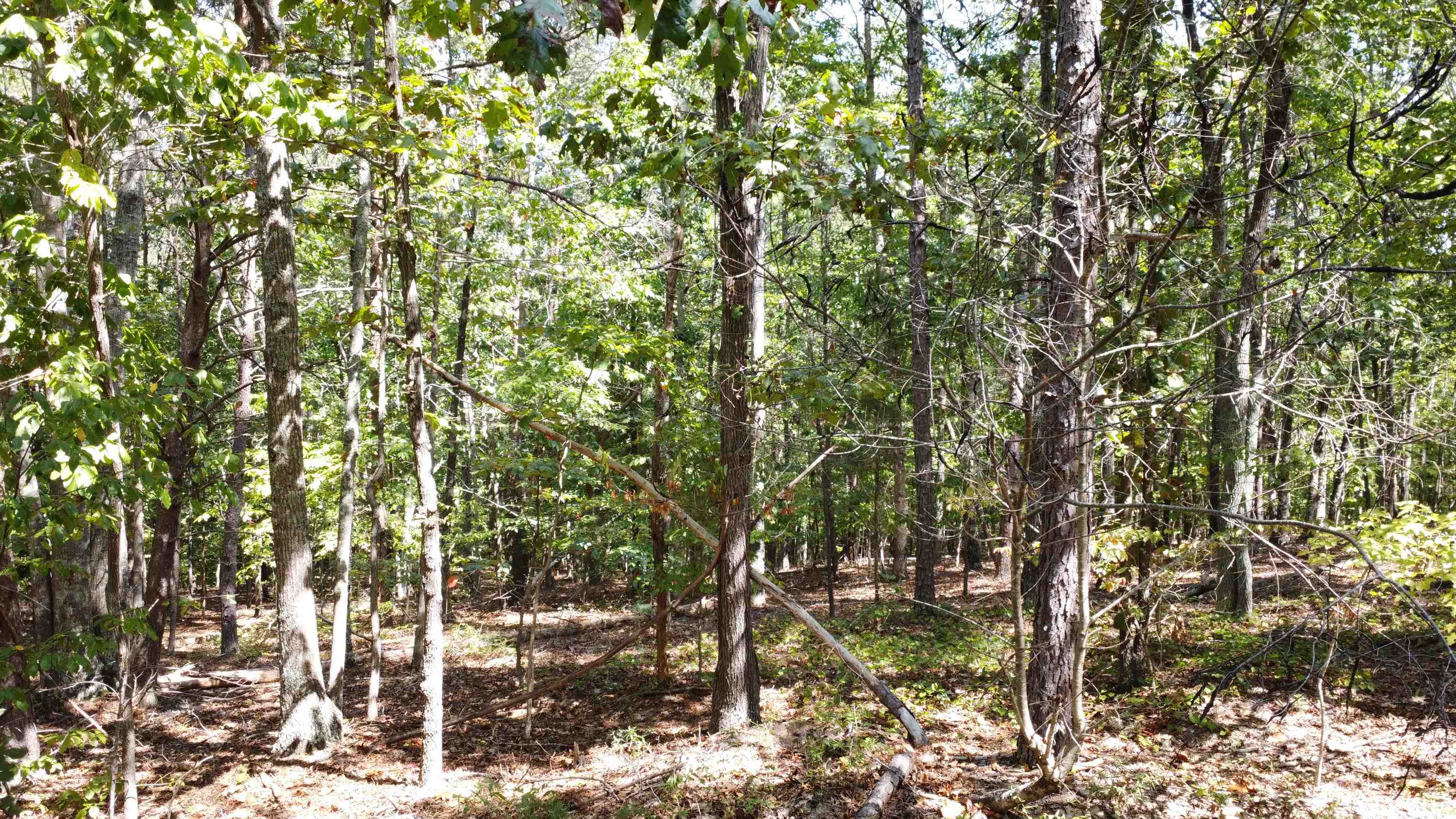 00 New Cut Road, Cowpens, South Carolina image 7