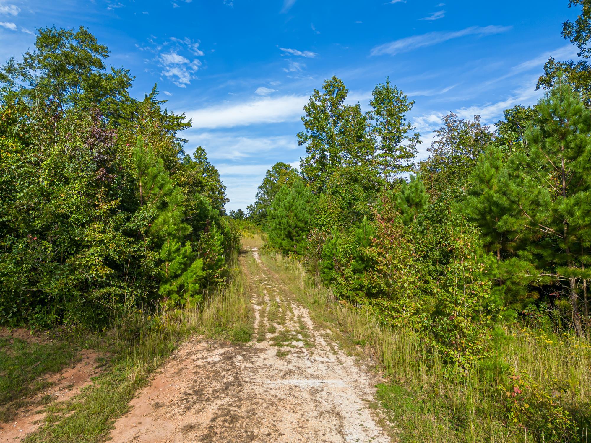 00 S Lakeview Drive, Fair Play, South Carolina image 17