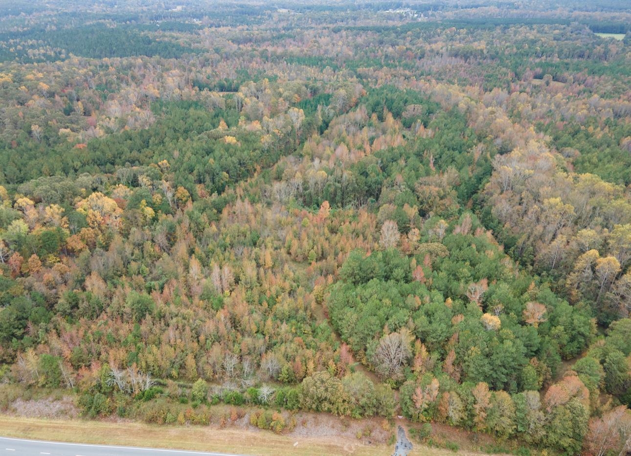 00 Highway 176 Bypass, Pacolet, South Carolina image 18