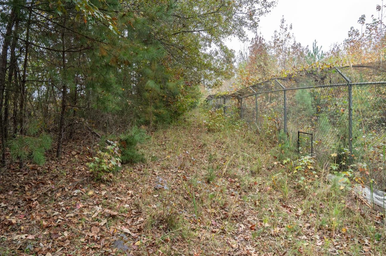 00 Highway 176 Bypass, Pacolet, South Carolina image 4