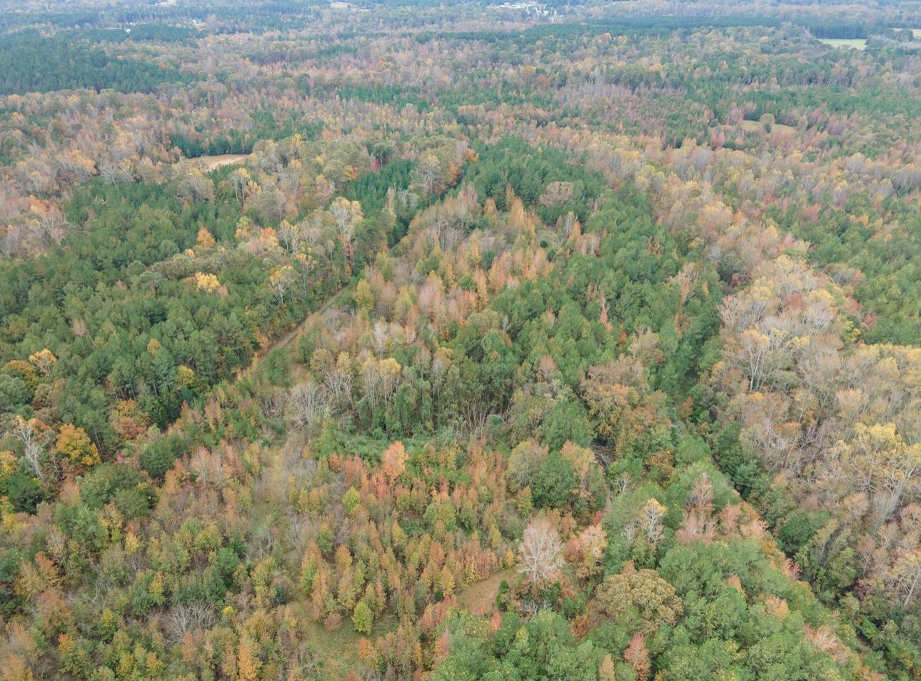 00 Highway 176 Bypass, Pacolet, South Carolina image 16