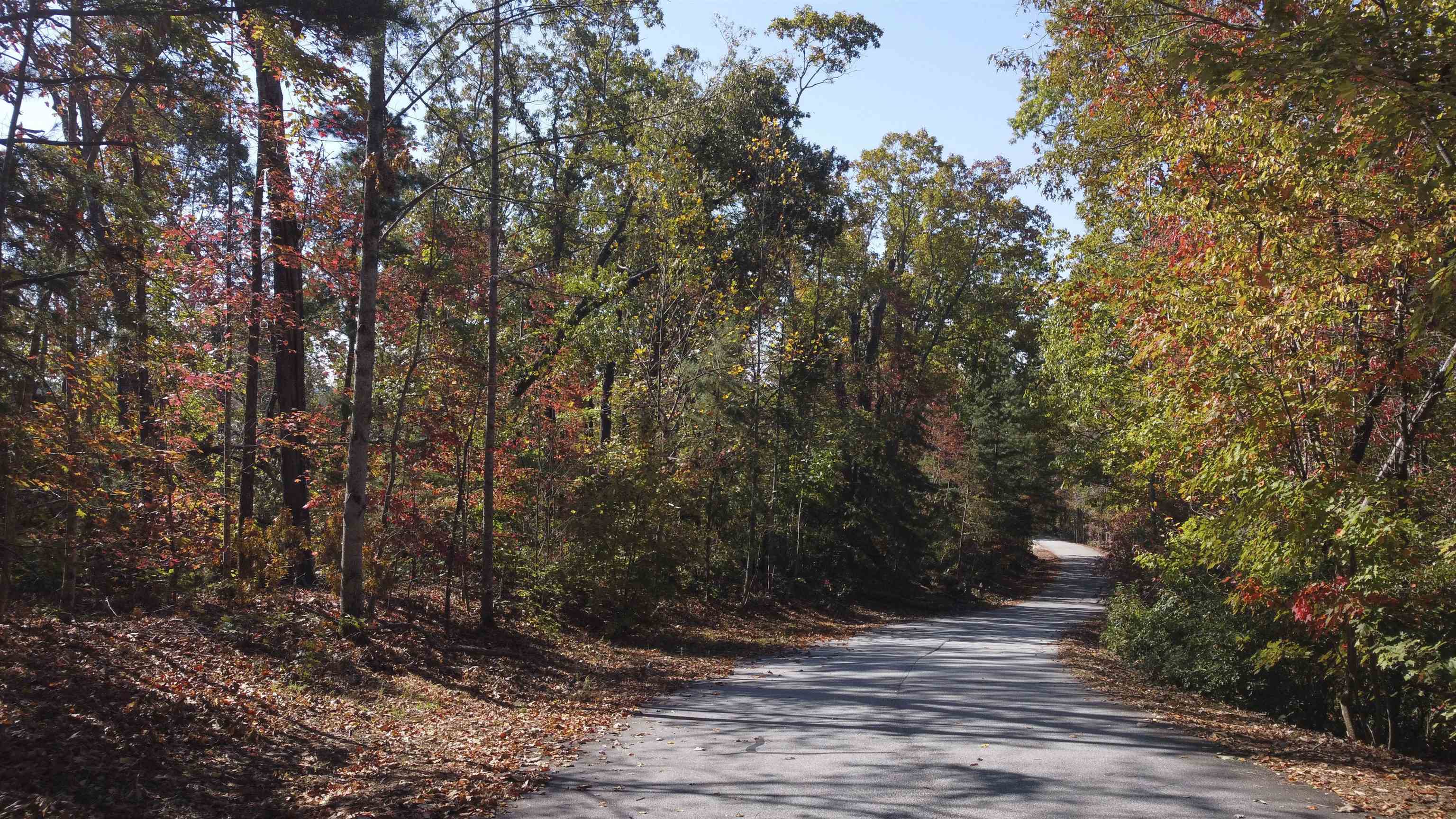 5 Rhone Valley Lane, Travelers Rest, South Carolina image 1