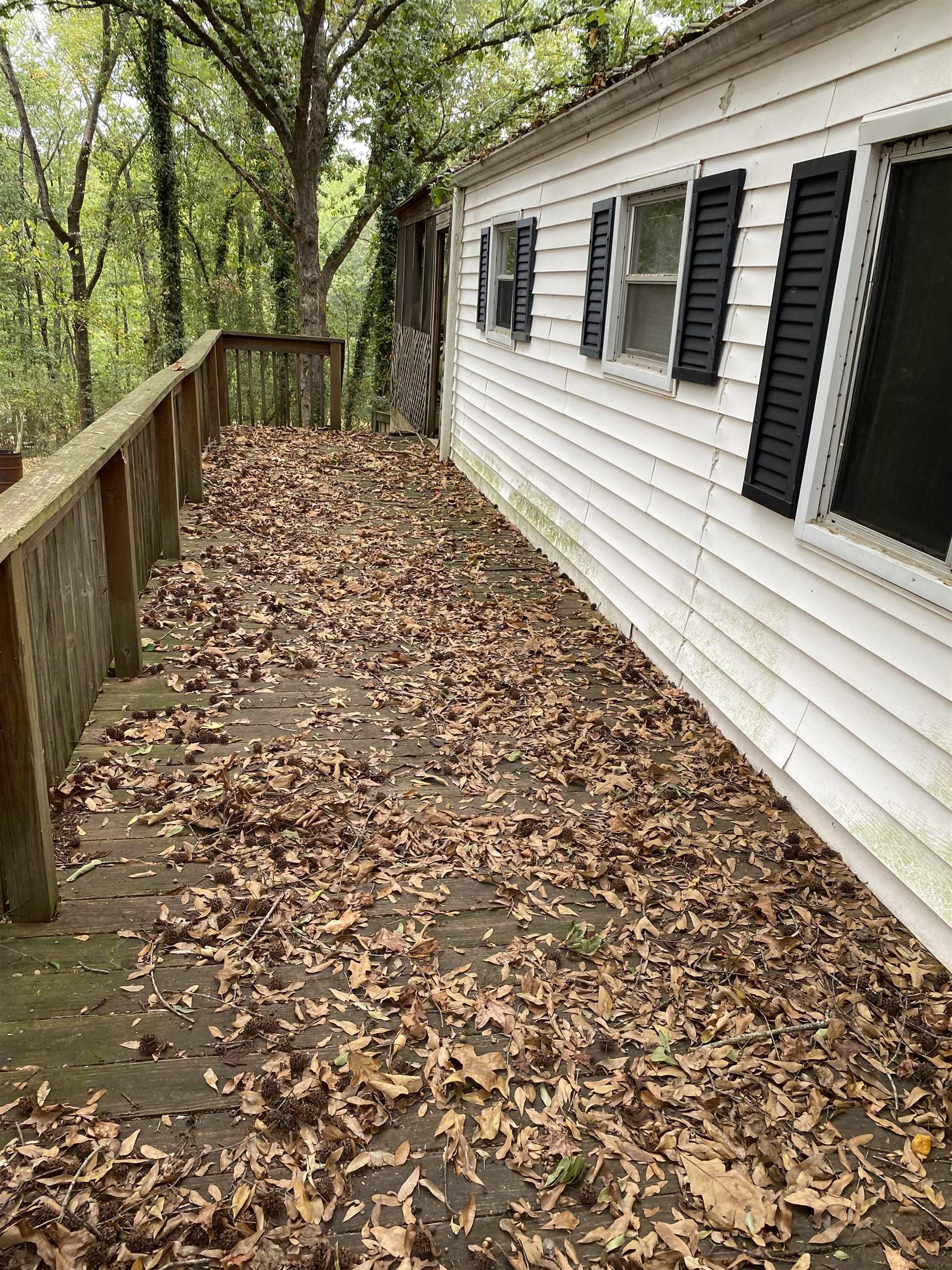 325 Lakewood Drive, Townville, South Carolina image 5